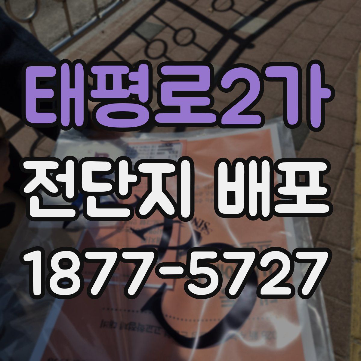 태평로2가 전단지 배포