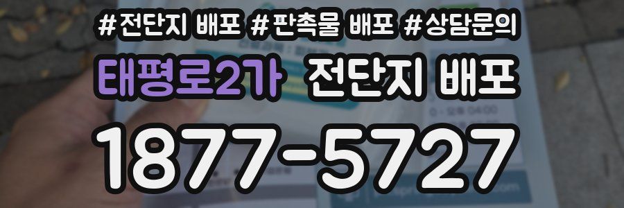 태평로2가 전단지 배포