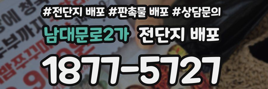 남대문로2가 전단지 배포