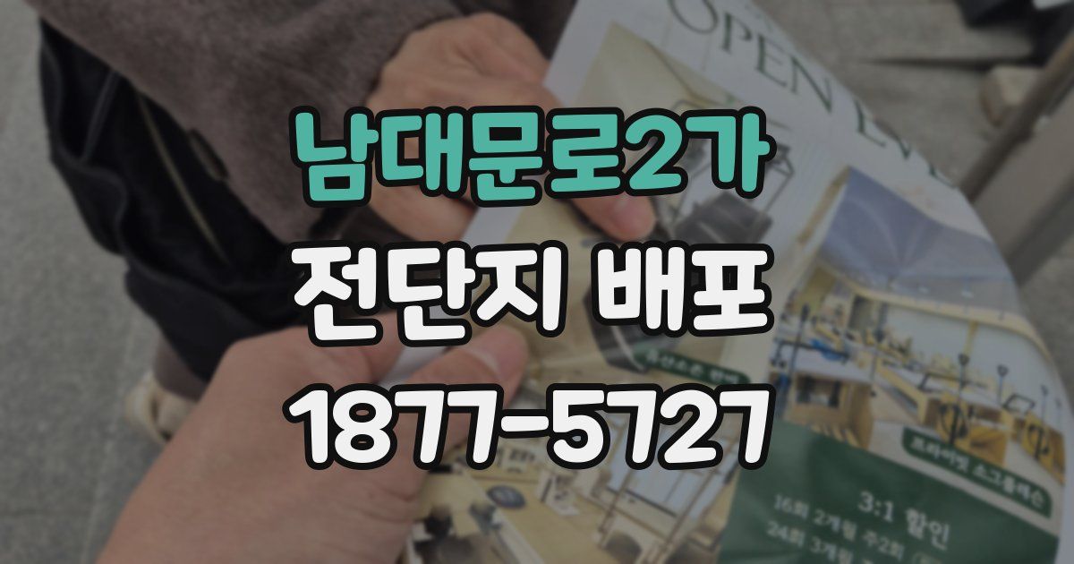 남대문로2가 전단지 배포