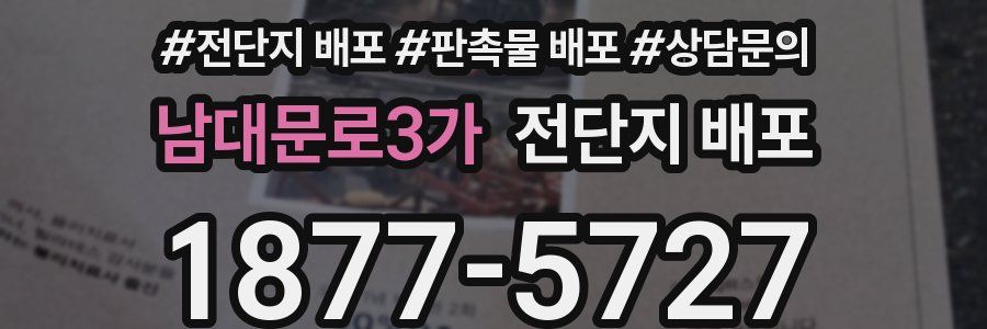 남대문로3가 전단지 배포