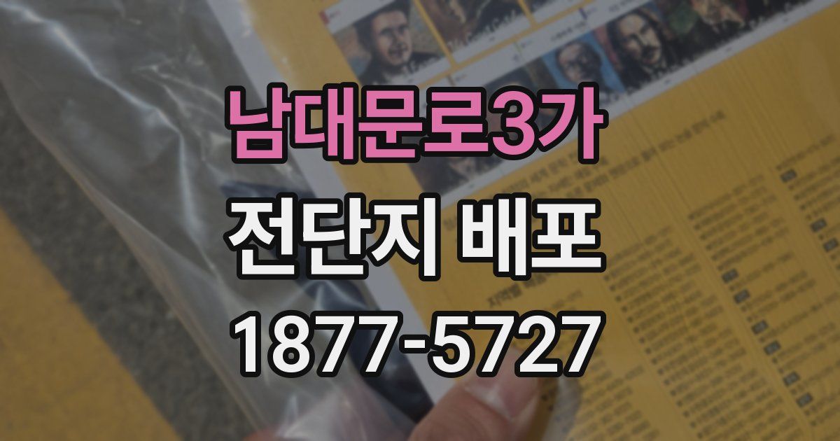남대문로3가 전단지 배포