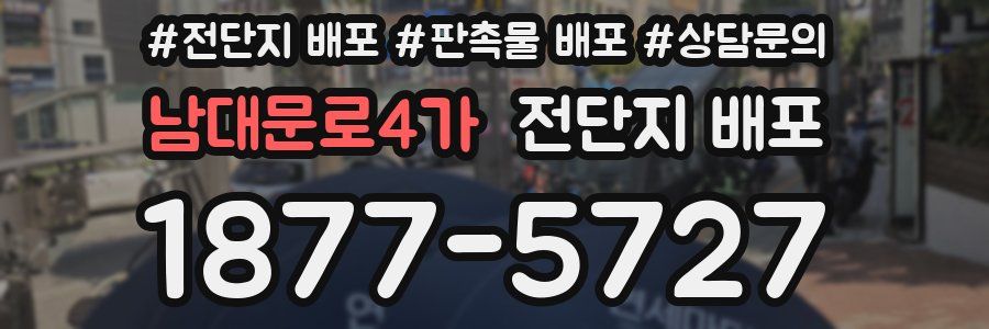 남대문로4가 전단지 배포