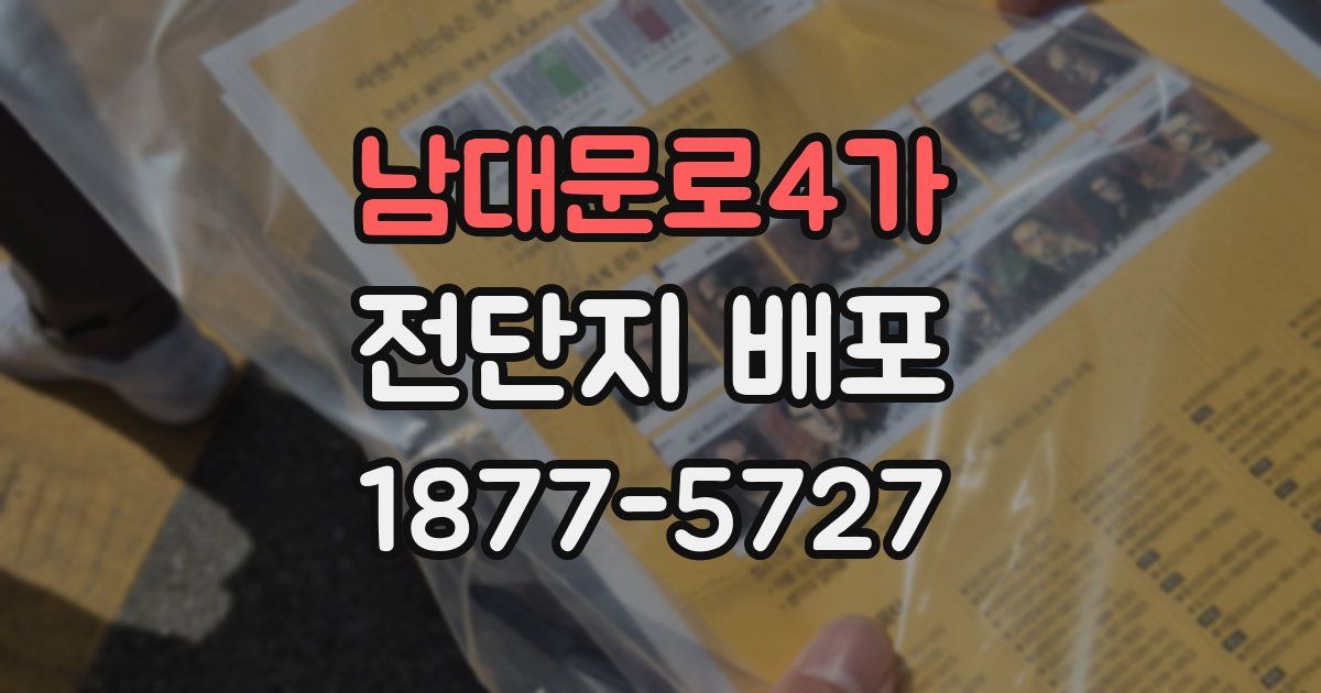 남대문로4가 전단지 배포