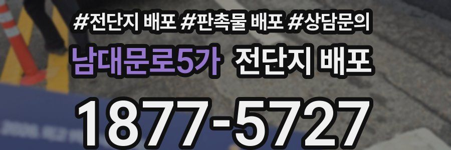 남대문로5가 전단지 배포