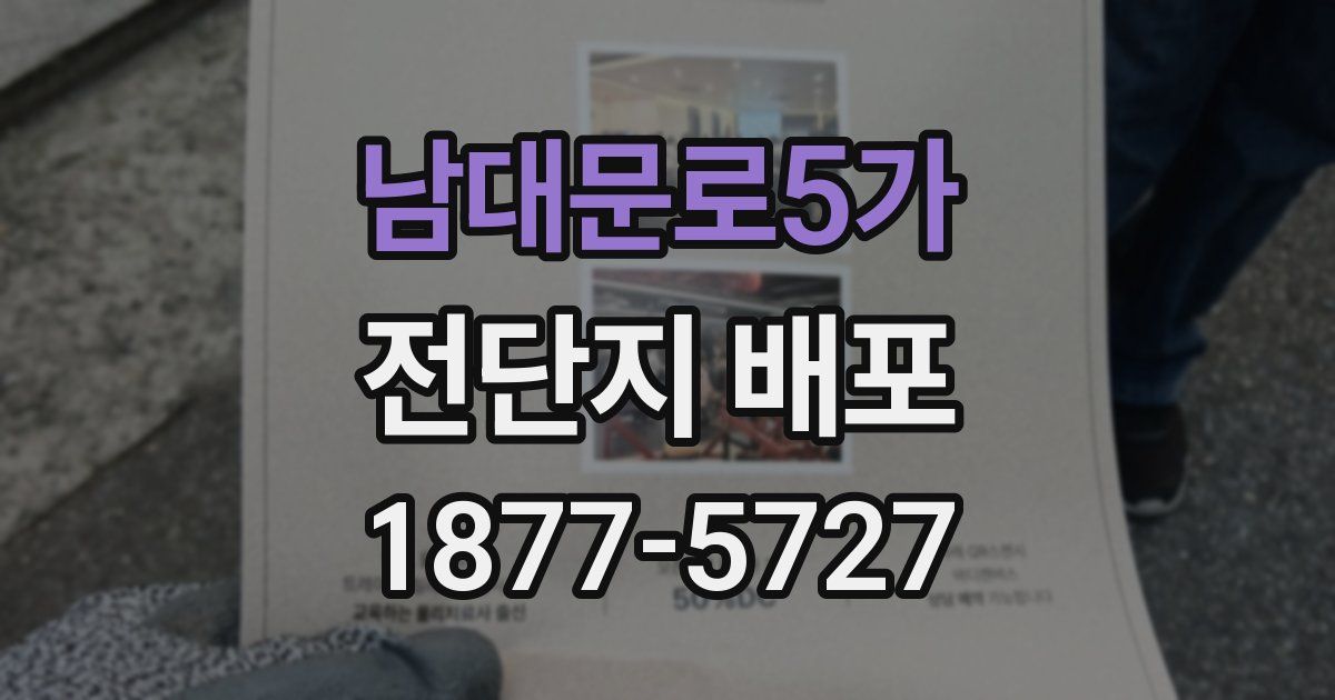 남대문로5가 전단지 배포