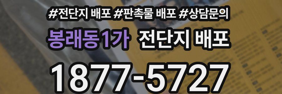 봉래동1가 전단지 배포