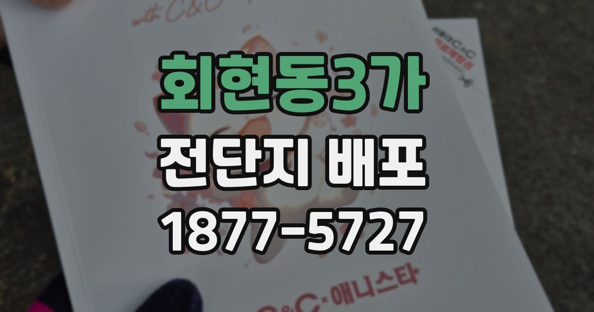 회현동3가 전단지 배포