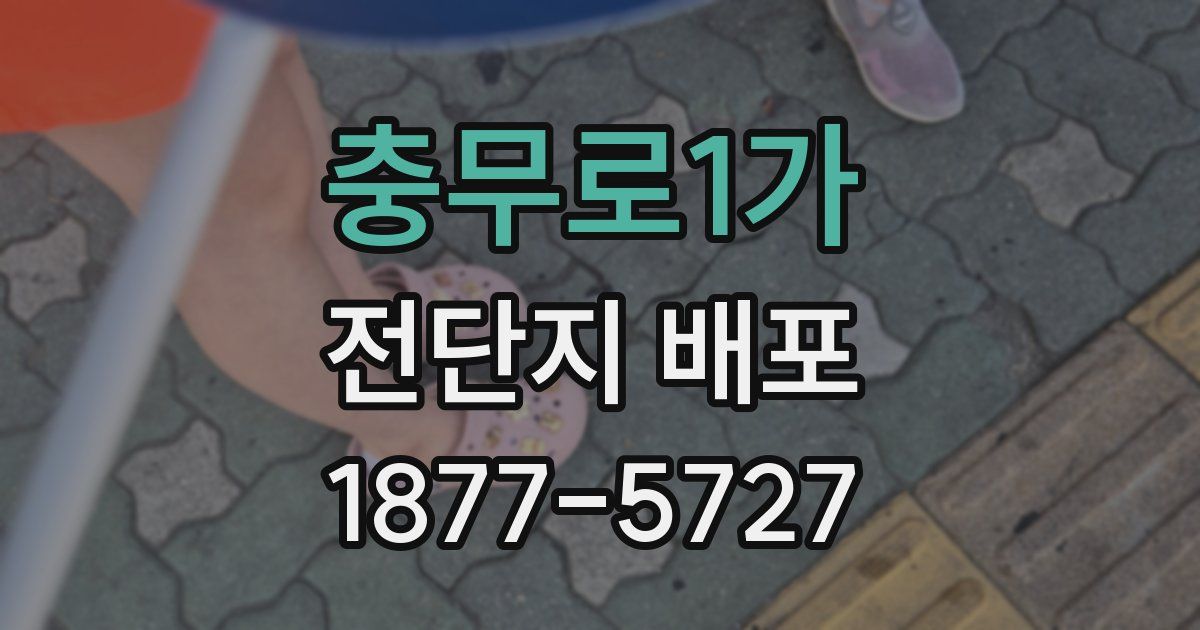 충무로1가 전단지 배포