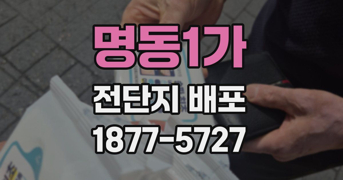 명동1가 전단지 배포