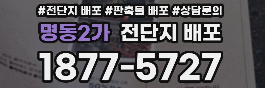 명동2가 전단지 배포