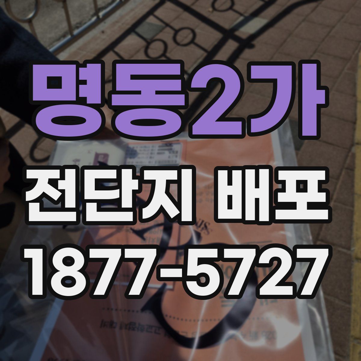 명동2가 전단지 배포