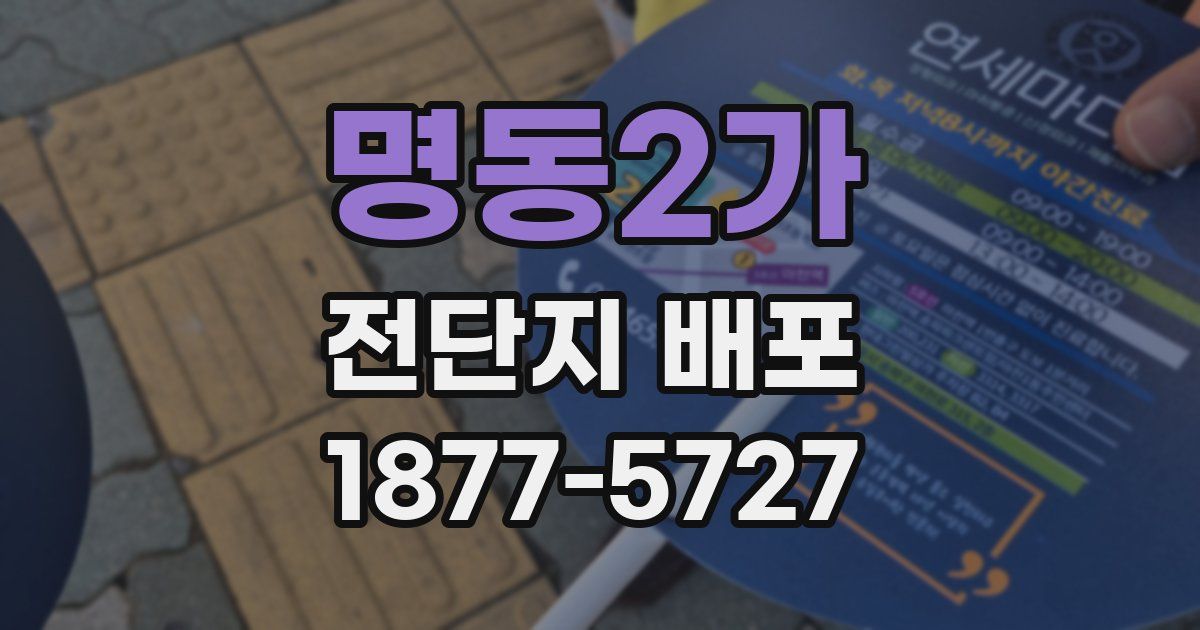 명동2가 전단지 배포