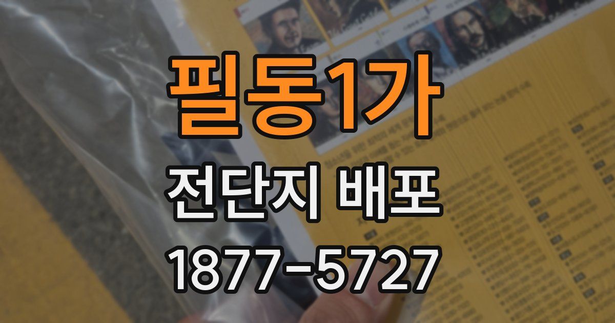 필동1가 전단지 배포