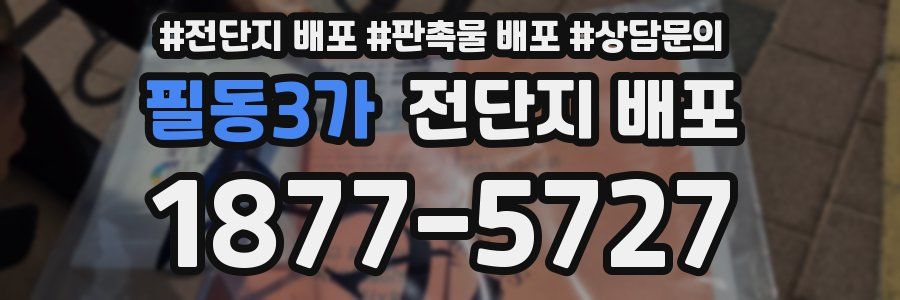 필동3가 전단지 배포