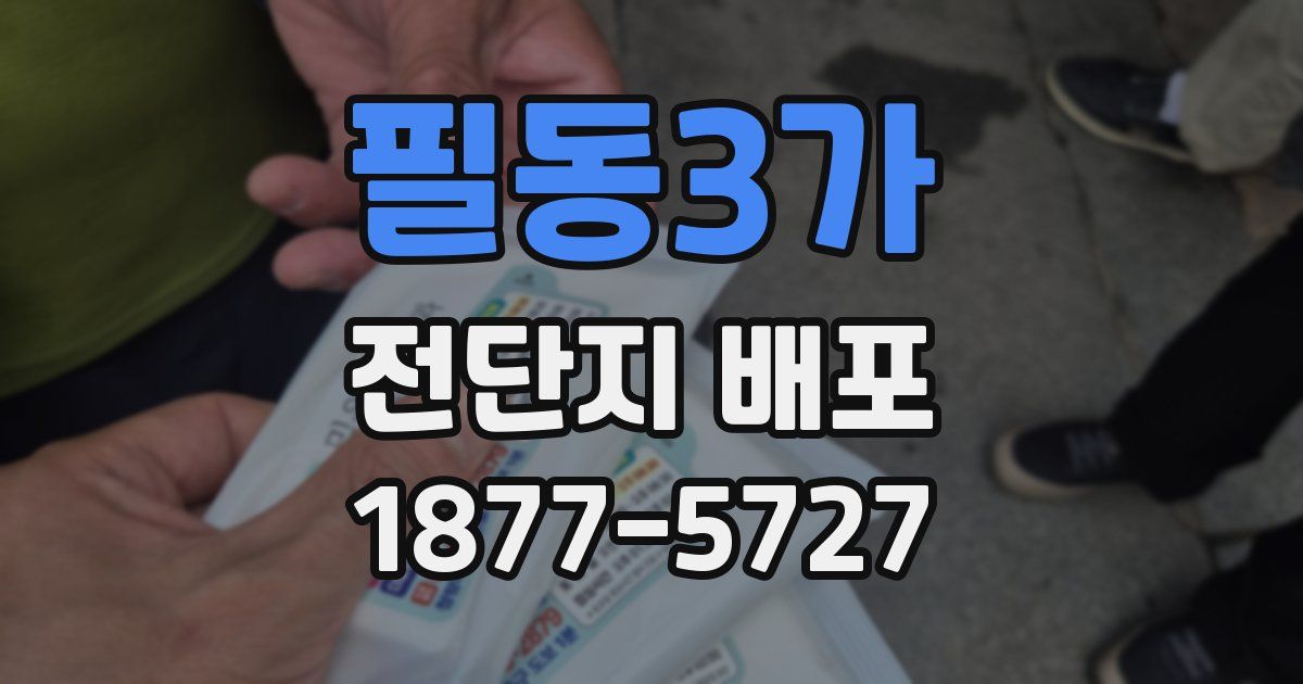 필동3가 전단지 배포