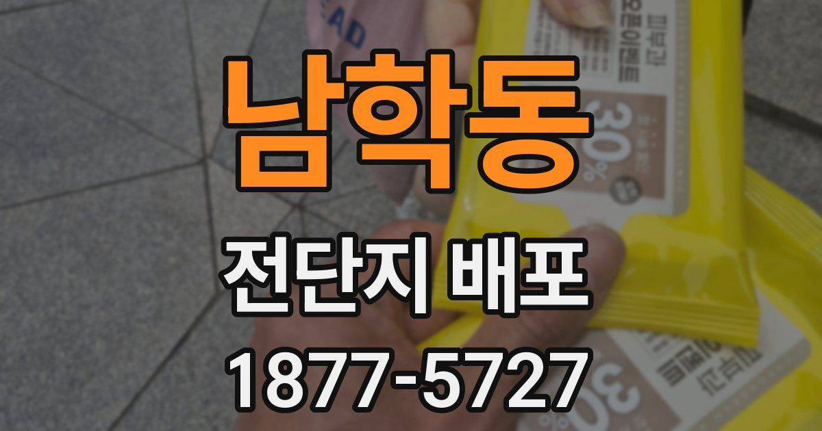 남학동 전단지 배포
