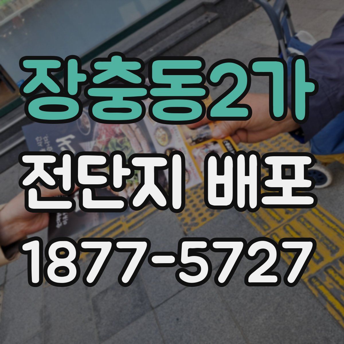 장충동2가 전단지 배포