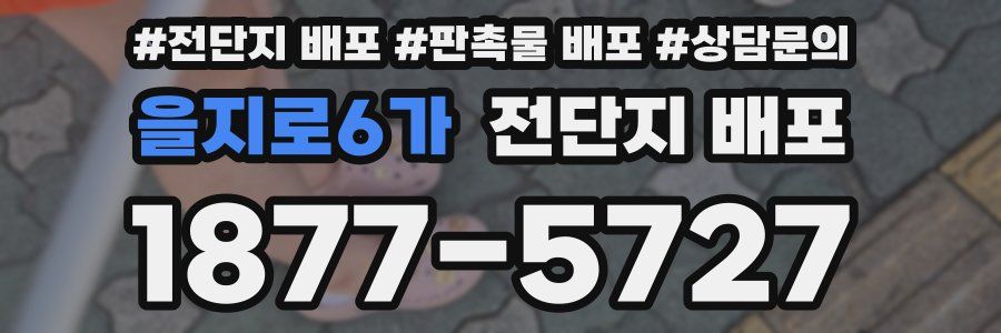 을지로6가 전단지 배포