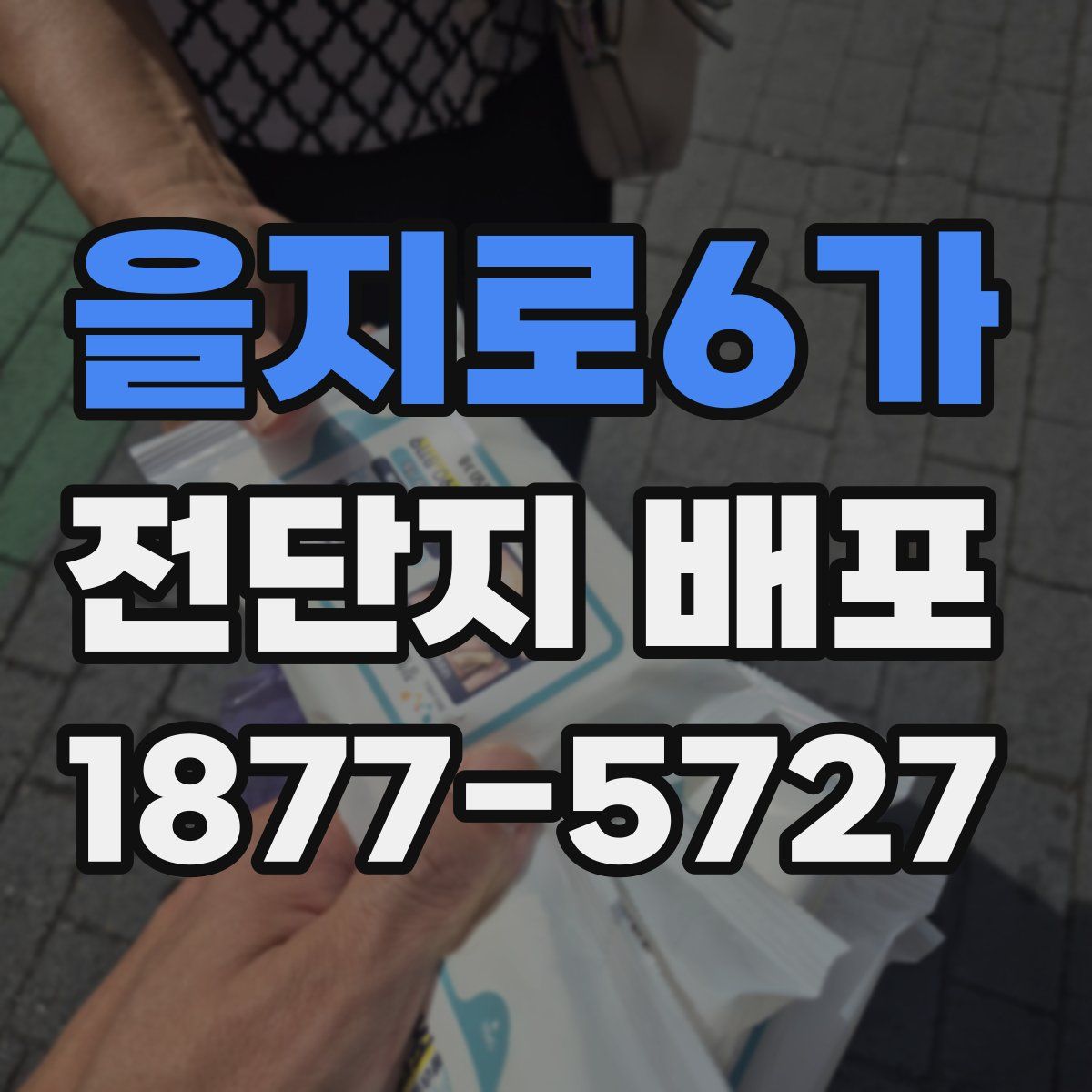 을지로6가 전단지 배포