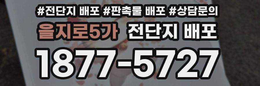 을지로5가 전단지 배포