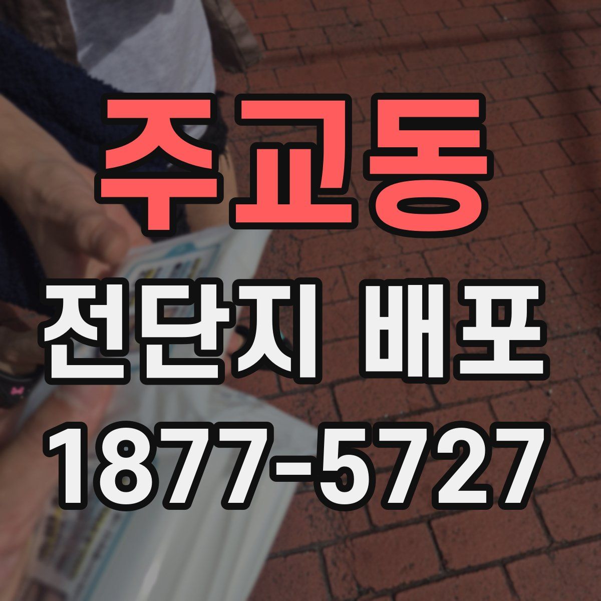 주교동 전단지 배포