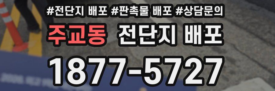 주교동 전단지 배포