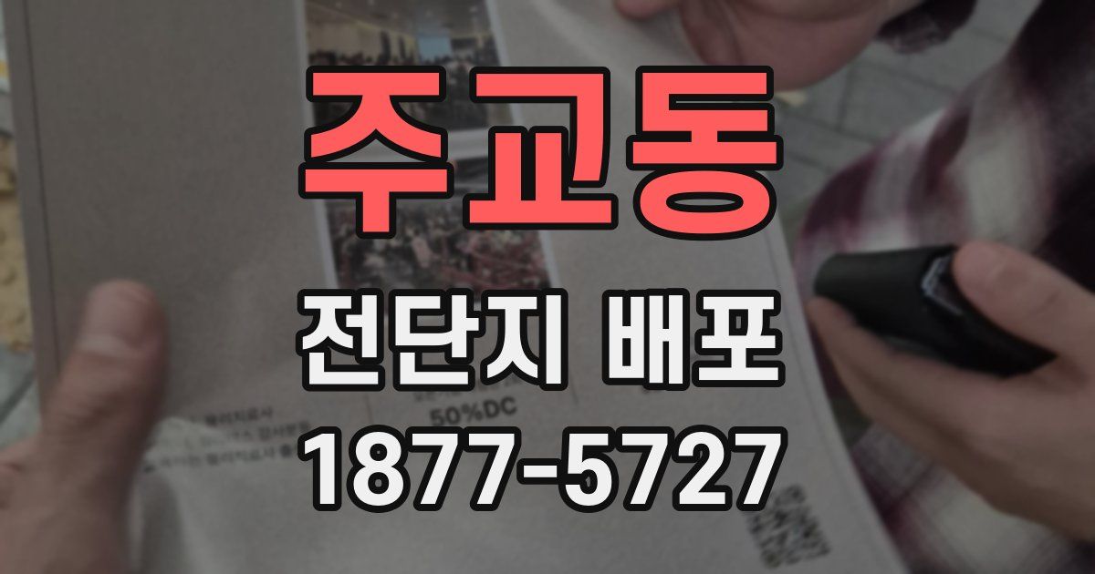 주교동 전단지 배포