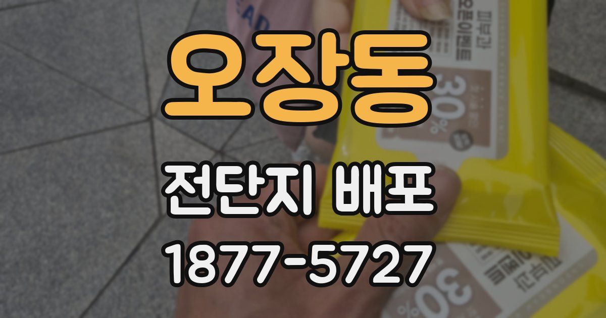 오장동 전단지 배포