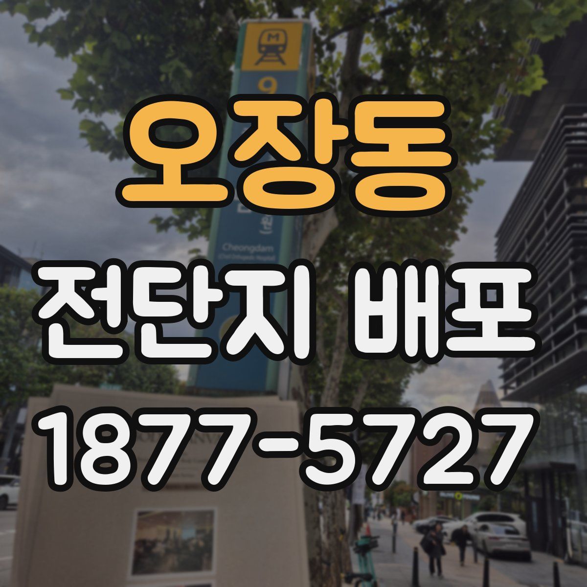 오장동 전단지 배포