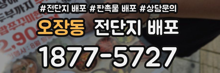 오장동 전단지 배포