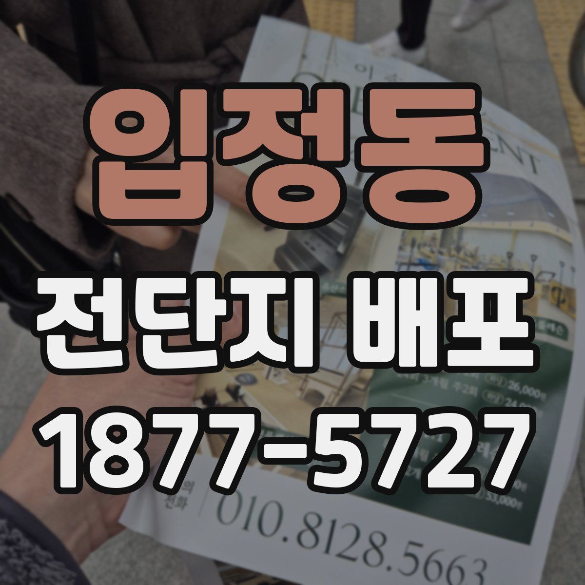 입정동 전단지 배포