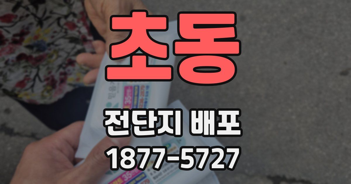 초동 전단지 배포