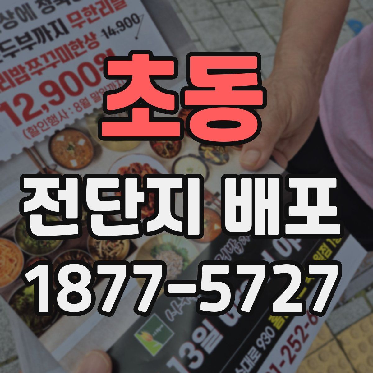 초동 전단지 배포