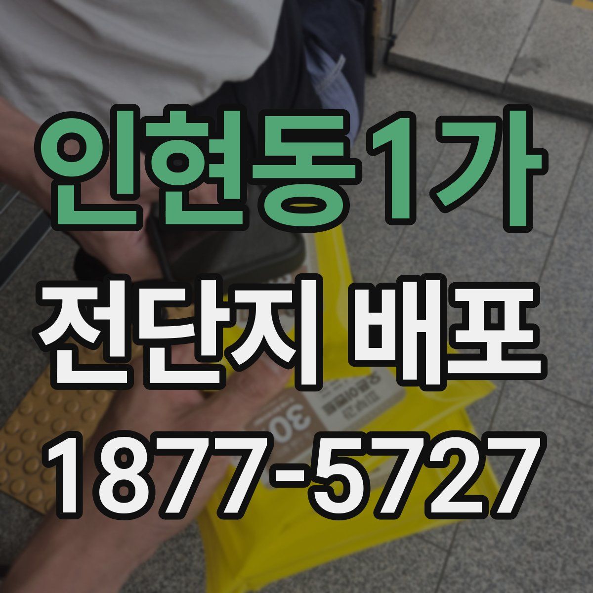 인현동1가 전단지 배포
