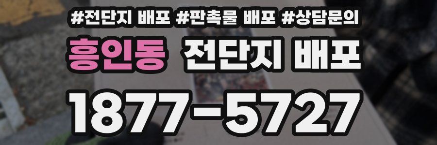 흥인동 전단지 배포