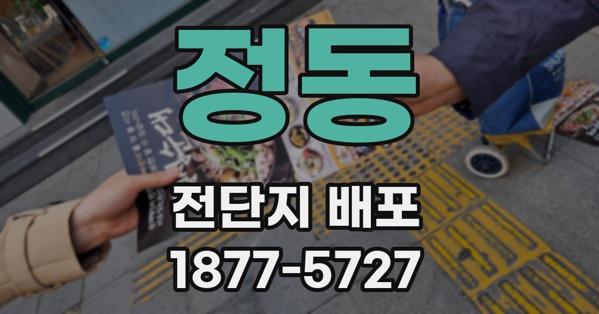 정동 전단지 배포