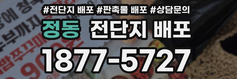 정동 전단지 배포