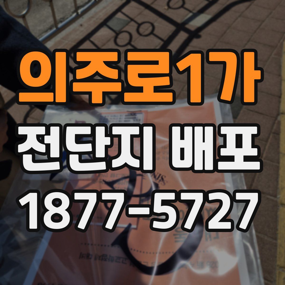 의주로1가 전단지 배포