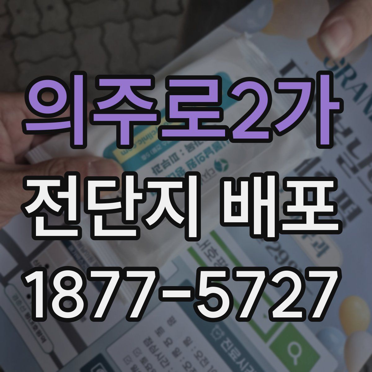 의주로2가 전단지 배포