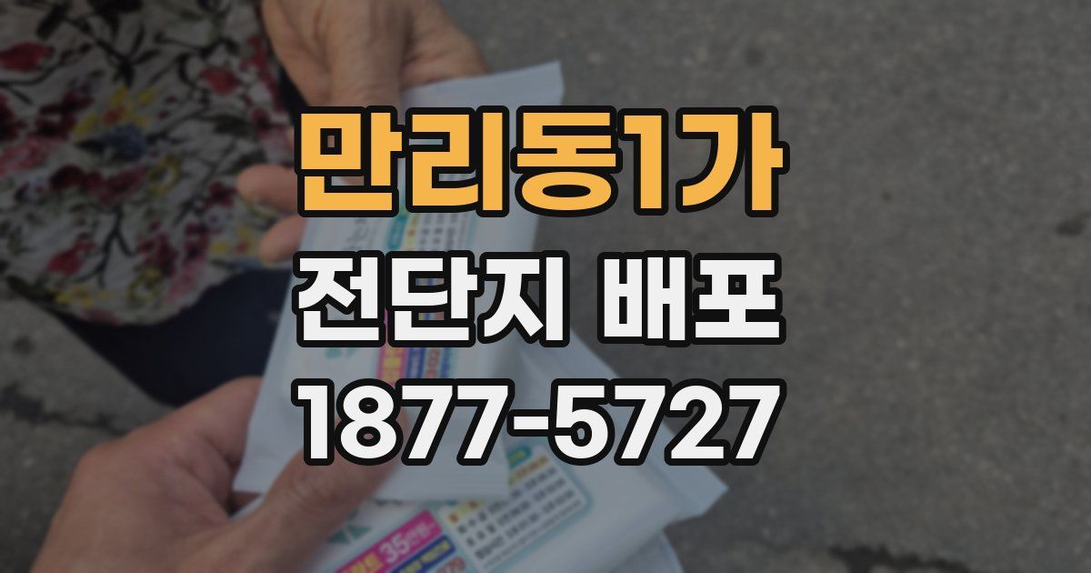 만리동1가 전단지 배포