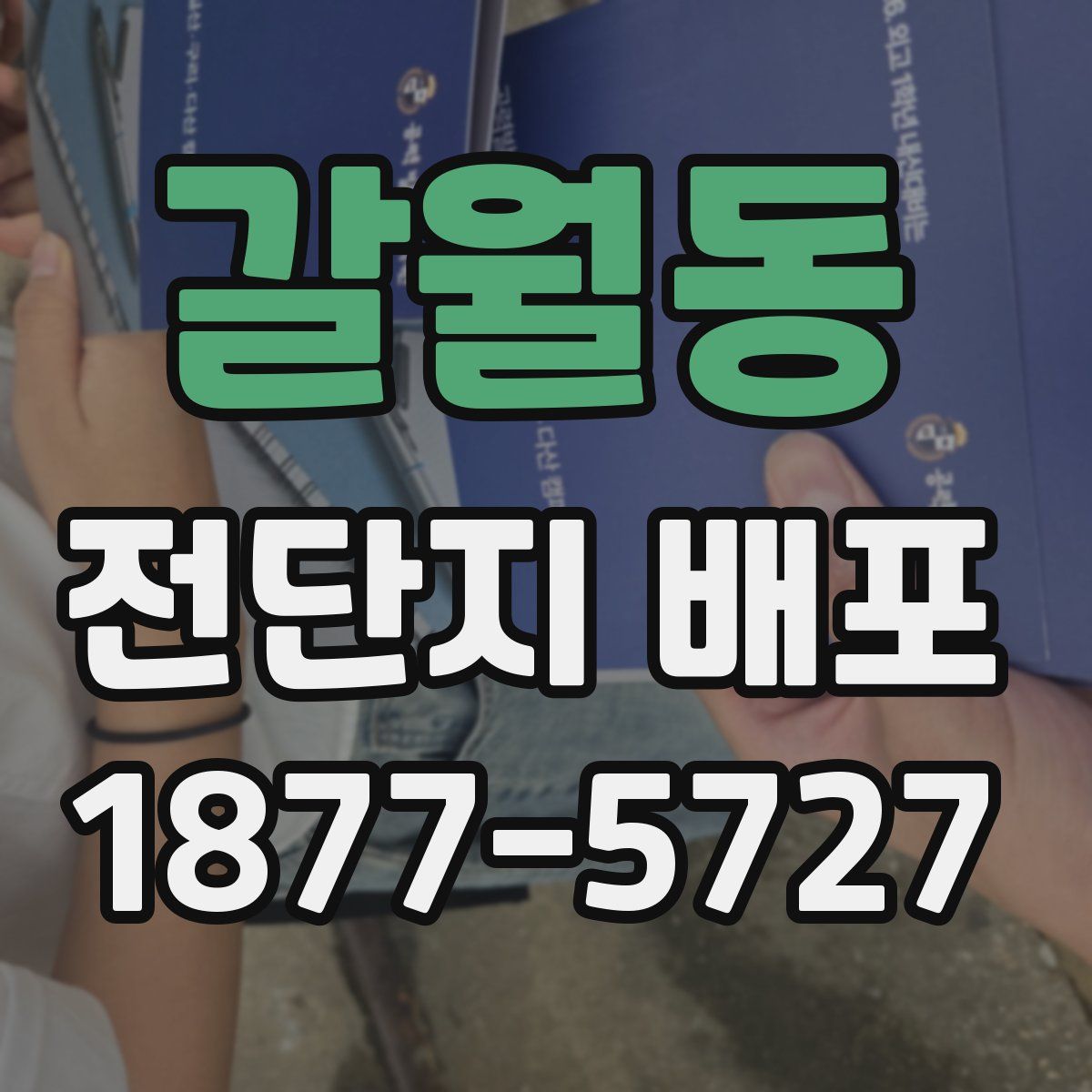갈월동 전단지 배포