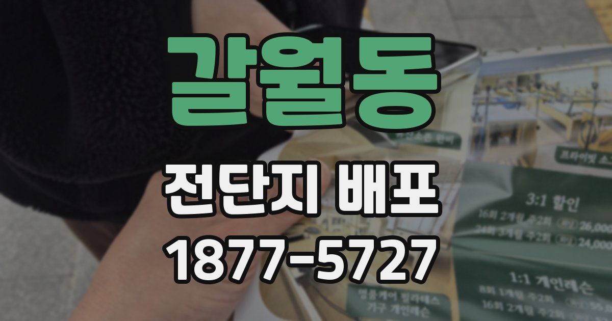 갈월동 전단지 배포