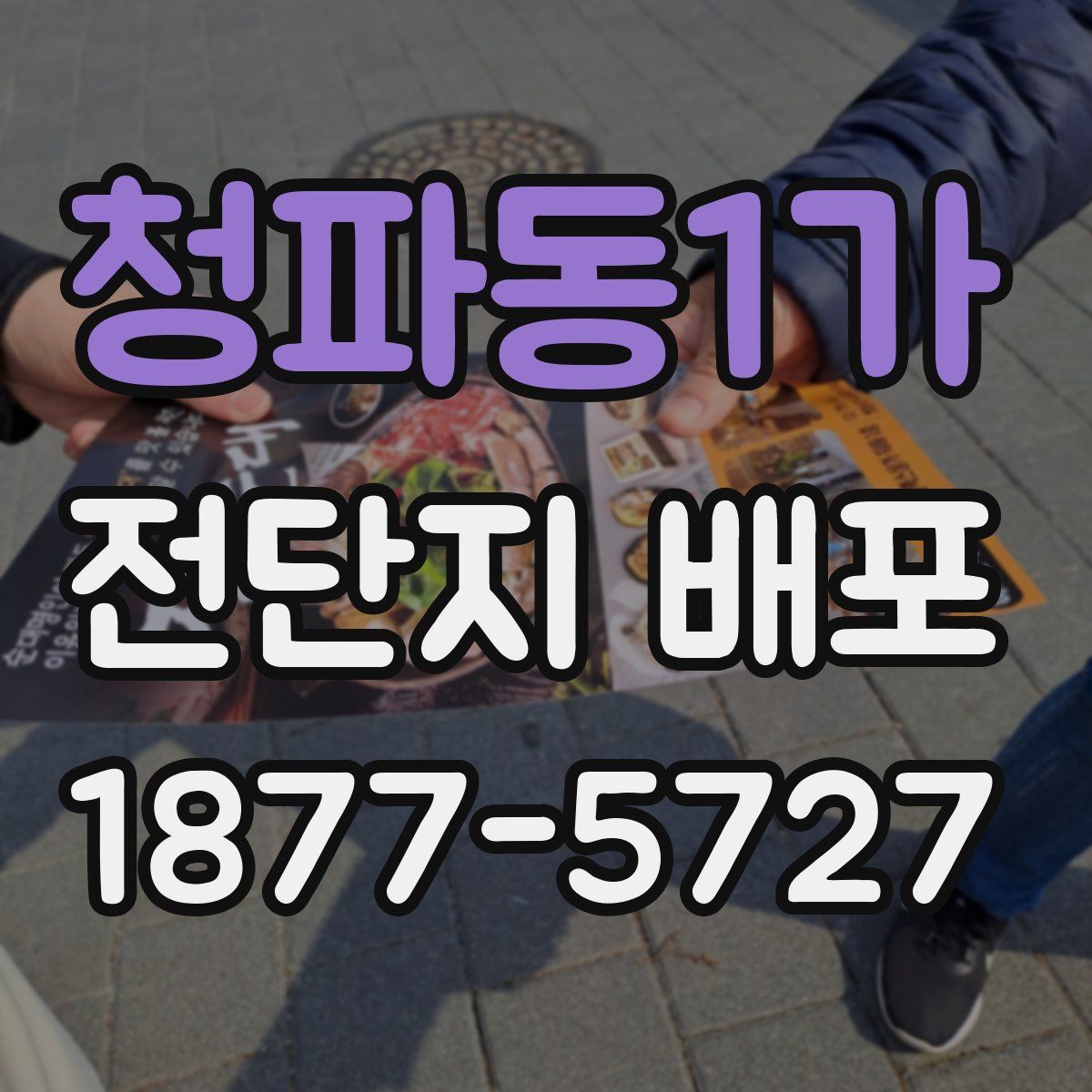 청파동1가 전단지 배포