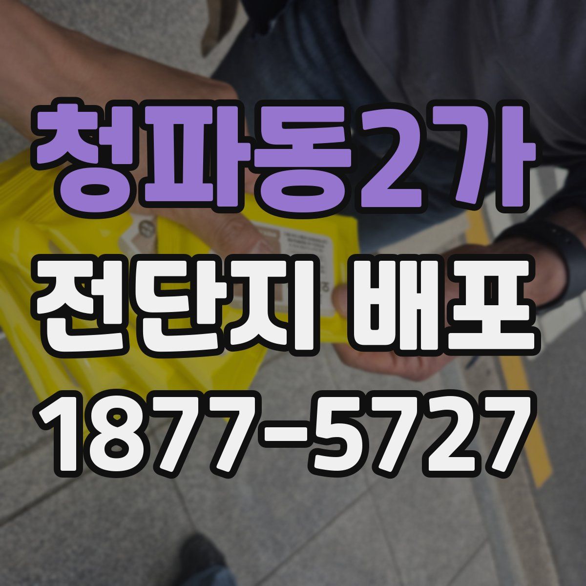 청파동2가 전단지 배포