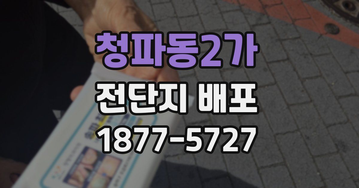 청파동2가 전단지 배포