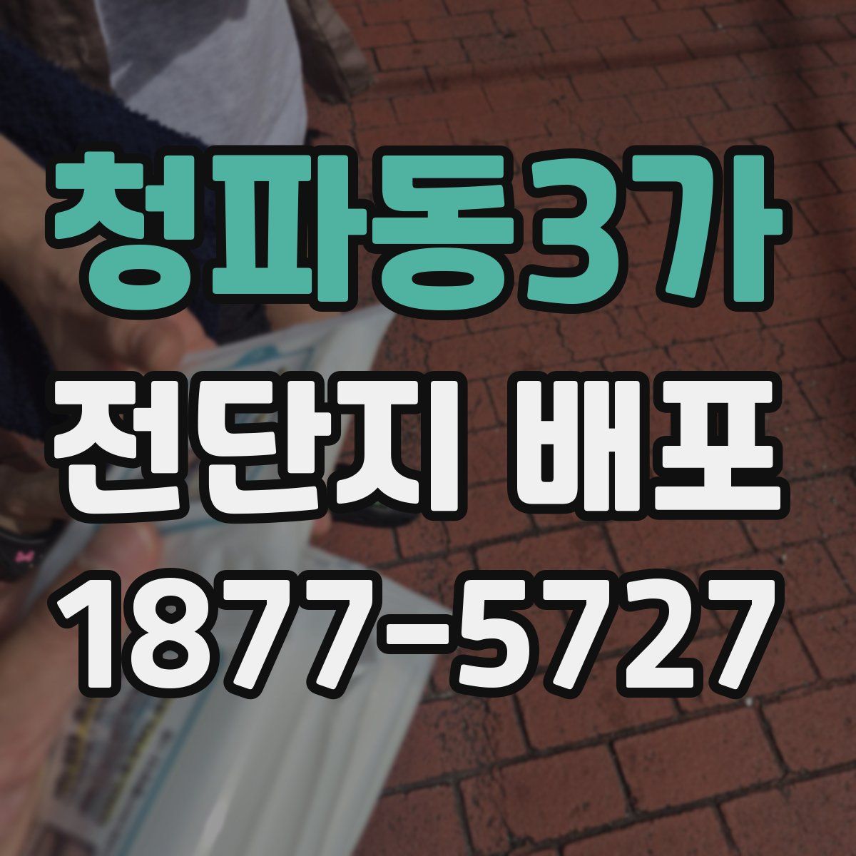 청파동3가 전단지 배포