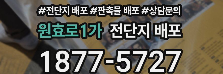 원효로1가 전단지 배포