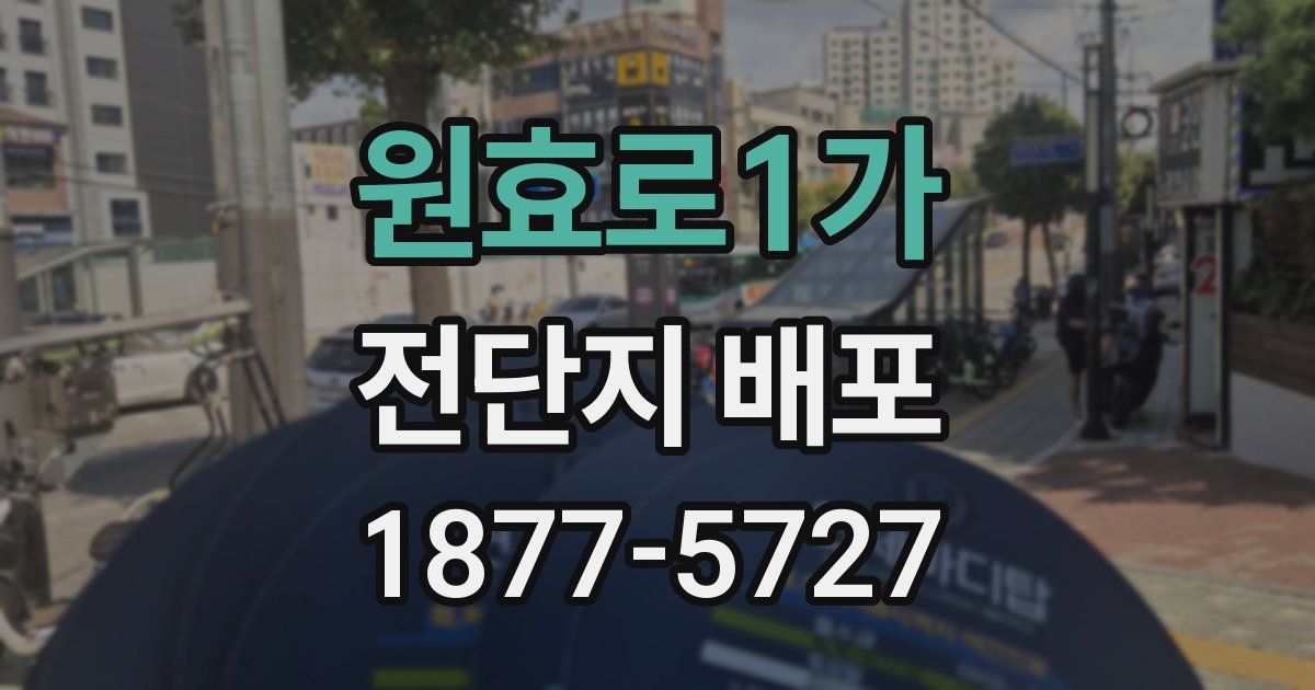 원효로1가 전단지 배포