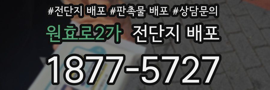 원효로2가 전단지 배포